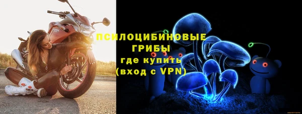 спиды Аркадак