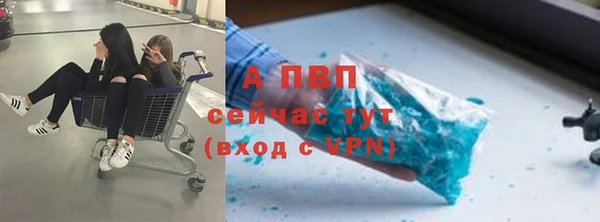 ешки Арсеньев