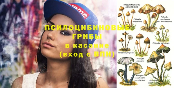 ешки Арсеньев