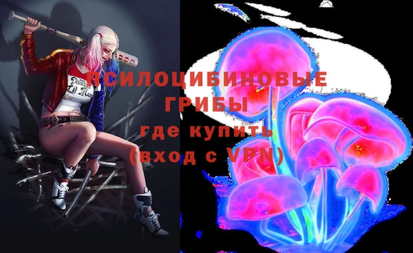 ешки Арсеньев