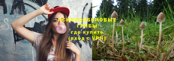 спиды Аркадак