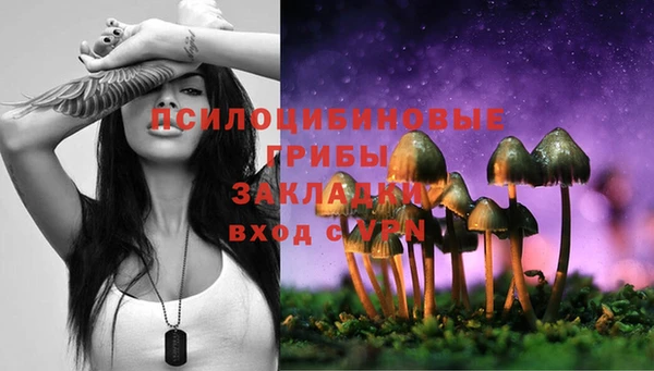 спиды Аркадак