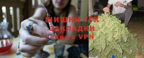 ешки Арсеньев